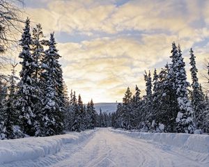 Превью обои лес, зима, дорога, ели, облака, природа