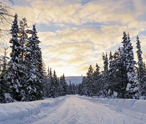 Превью обои лес, зима, дорога, ели, облака, природа