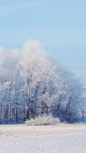 Превью обои лес, зима, снег, пейзаж, деревья