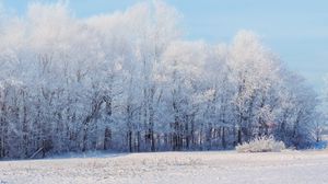 Превью обои лес, зима, снег, пейзаж, деревья