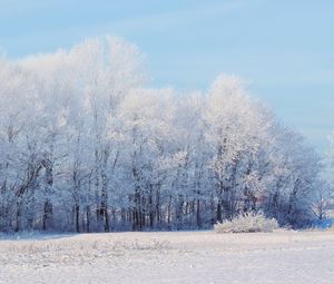 Превью обои лес, зима, снег, пейзаж, деревья