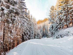 Превью обои лес, зима, снег, дорога, небо, природа, зимний пейзаж