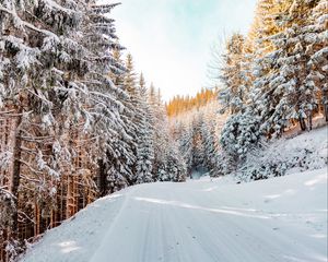 Превью обои лес, зима, снег, дорога, небо, природа, зимний пейзаж