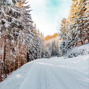 Превью обои лес, зима, снег, дорога, небо, природа, зимний пейзаж