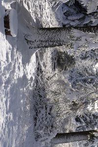 Превью обои лес, зима, снег, деревья, белый, пейзаж, природа