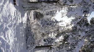 Превью обои лес, зима, снег, деревья, белый, пейзаж, природа