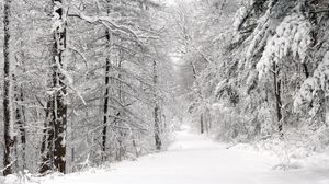 Превью обои лес, зима, снег, деревья, панорама, белизна