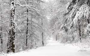 Превью обои лес, зима, снег, деревья, панорама, белизна