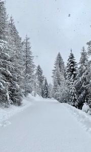 Превью обои лес, зима, снегопад, снег, дорога