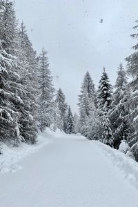 Превью обои лес, зима, снегопад, снег, дорога