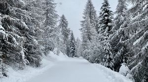 Превью обои лес, зима, снегопад, снег, дорога
