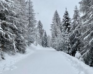 Превью обои лес, зима, снегопад, снег, дорога