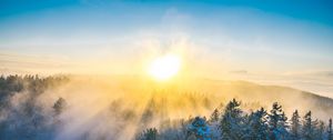 Превью обои лес, зима, солнце, снег, деревья, пейзаж, природа