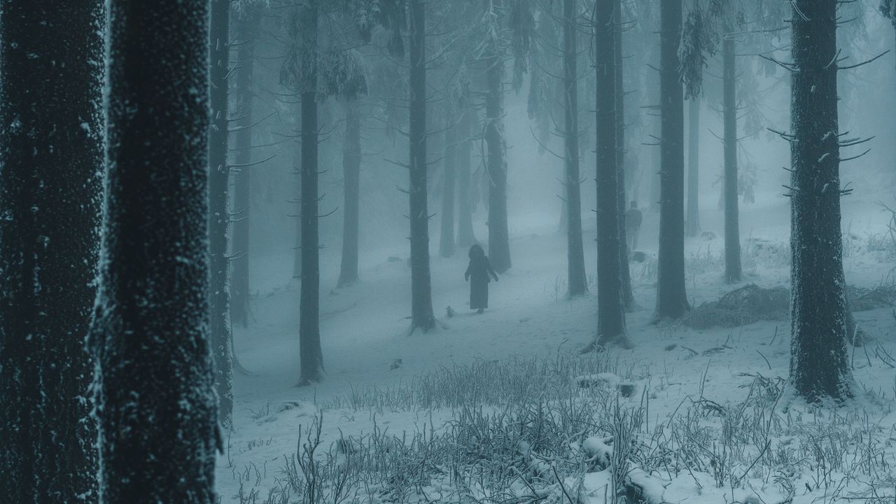 Обои лес, зима, туман, снег, люди, силуэты