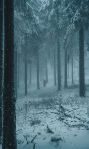 Превью обои лес, зима, туман, снег, люди, силуэты
