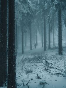 Превью обои лес, зима, туман, снег, люди, силуэты