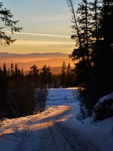 Превью обои лес, зима, закат, дорога, деревья, небо