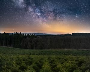 Превью обои лес, звёздное небо, деревья