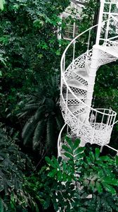 Превью обои лестница, круговая, ботанический сад, зеленый, растения