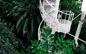 Превью обои лестница, круговая, ботанический сад, зеленый, растения