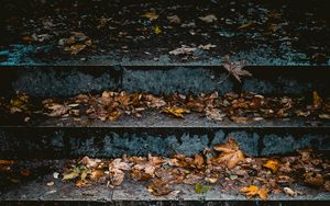 Превью обои лестница, листья, осень