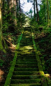 Превью обои лестница, мох, деревья, япония