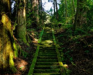 Превью обои лестница, мох, деревья, япония