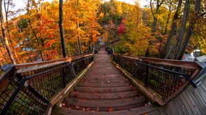 Превью обои лестница, осень, деревья, ступени, лес