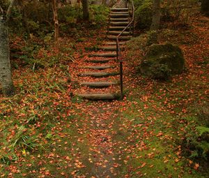 Превью обои лестница, осень, листва