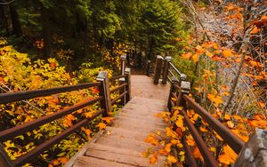 Превью обои лестница, осень, ветки, листья, ступени