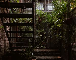 Превью обои лестница, подъем, архитектура, растения, листья