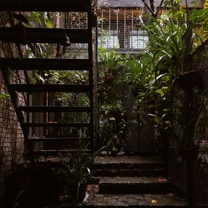 Превью обои лестница, подъем, архитектура, растения, листья