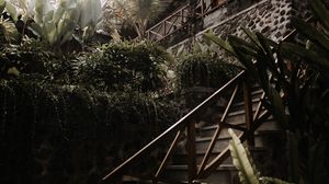 Превью обои лестница, растения, тропический, декоративный, здание