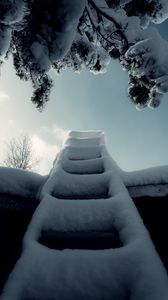 Превью обои лестница, снег, ветка, зима