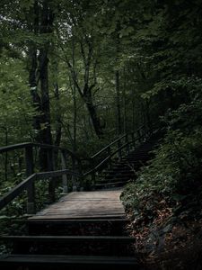 Превью обои лестница, ступени, деревья, природа