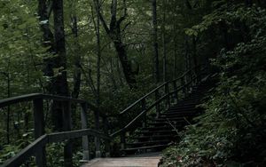 Превью обои лестница, ступени, деревья, природа