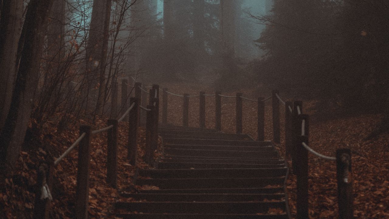 Обои лестница, ступеньки, лес, деревья, мгла, туман