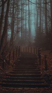 Превью обои лестница, ступеньки, лес, деревья, мгла, туман