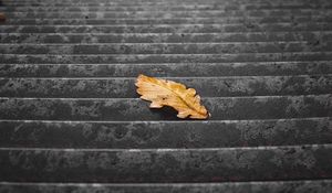 Превью обои лестница, ступеньки, листок, сухой, осень