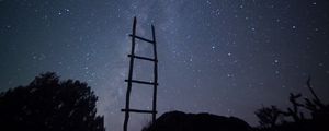 Превью обои лестница, звездное небо, деревья, минимализм, ночь