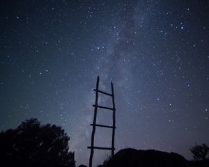 Превью обои лестница, звездное небо, деревья, минимализм, ночь