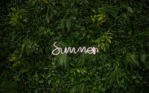 Превью обои лето, растительность, надпись, растения, зелень