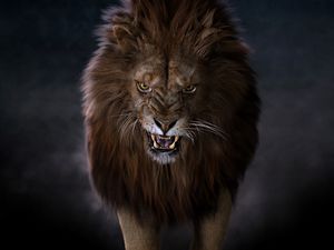 Превью обои лев, хищник, большая кошка, клыки, взгляд