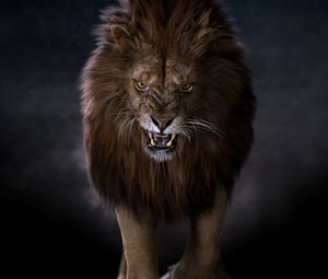 Превью обои лев, хищник, большая кошка, клыки, взгляд