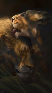 Превью обои лев, львица, любовь, мило