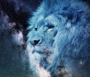 Превью обои лев, морда, звездное небо, звезды, фотошоп, король зверей, хищник