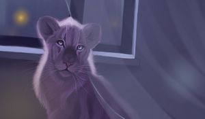 Превью обои лев, окно, арт, ночь