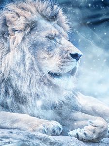 Превью обои лев, снег, большая кошка, царь зверей