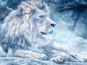 Превью обои лев, снег, большая кошка, царь зверей