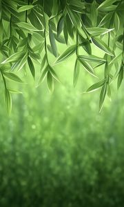 Превью обои лианы, зелень, джунгли, зеленый